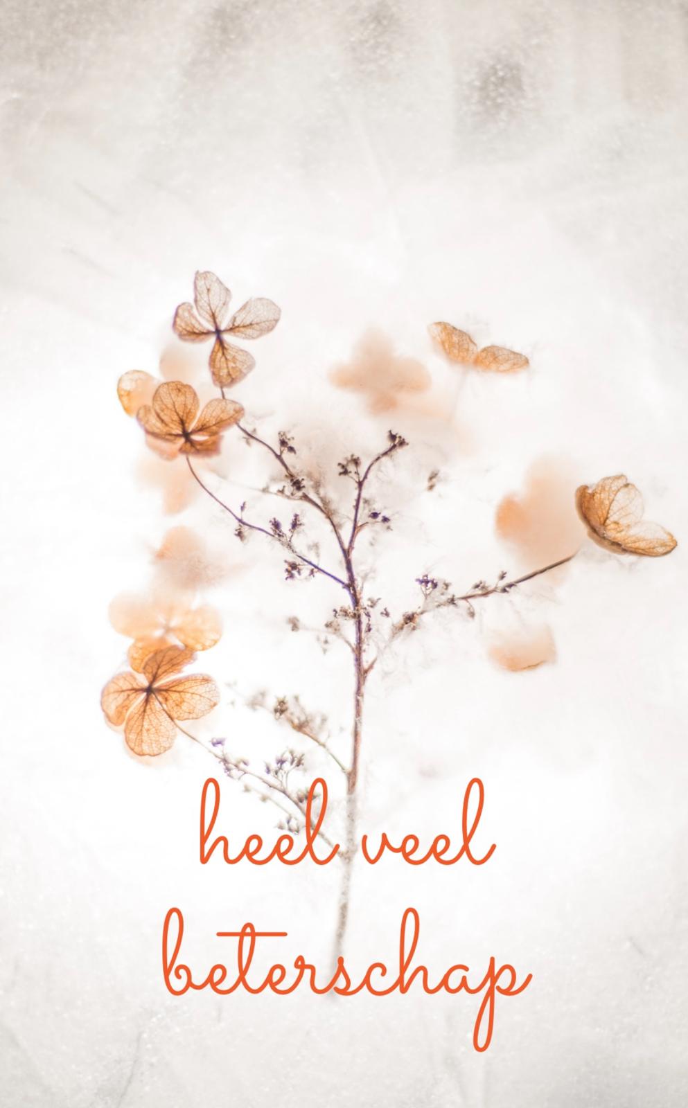 Personaliseer jouw cadeau met een kaart