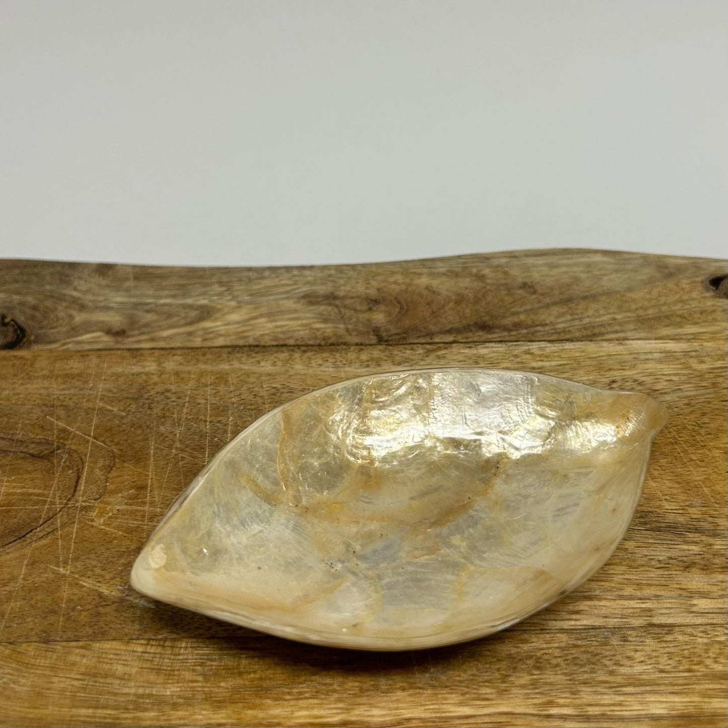 Schaaltje Schelp Capiz S - Lemon - goud ByBazz